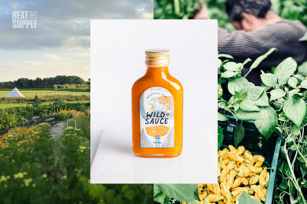 wild sauce hot sauce interview