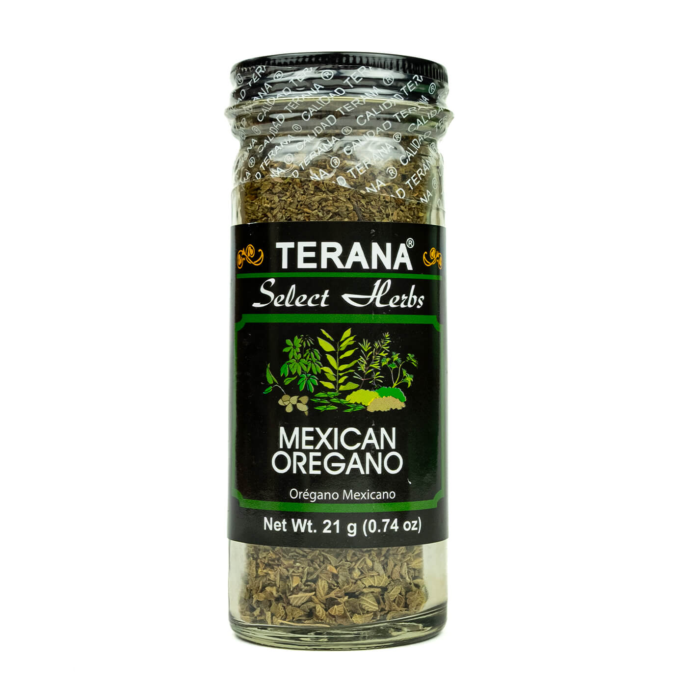 terana mexicaanse oregano